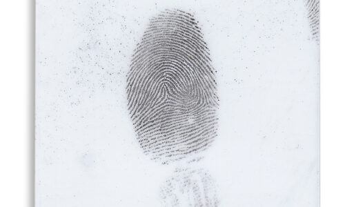BVDA_Instant_Lifter_Black_fingerprint_powder_lrg