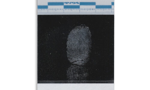 BVDA_Instant_Lifter_white_fingerprint_powder_lrg